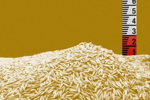 Por que o fim dos estoques públicos de alimentos do Brasil é um problema.